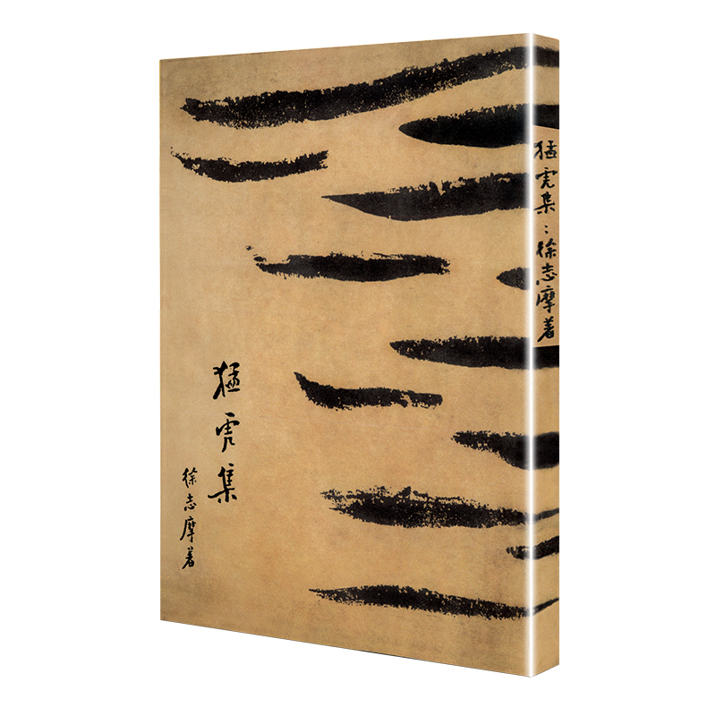 新华书店正版 中国现当代文学 文轩网