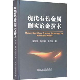 现代有色金属侧吹冶金技术 李东波,陈学刚,王忠实 正版书籍 新华书店旗舰店文轩官网 冶金工业出版社