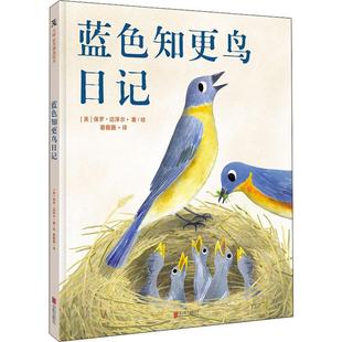 新华书店 8岁儿童绘本 父母与孩子 幼儿园小学生课外书籍阅读 蓝色知更鸟日记 睡前亲子阅读 老师推荐