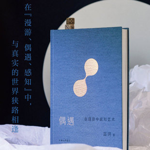 【罗振宇跨年推荐书单】偶遇 在漫游中感知艺术 巫鸿 12组案例艺术思考谈论艺术 巫鸿陆智昌倾力合作 纸书的另一种阅读方式 理想国