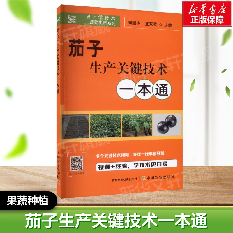 茄子生产关键技术一本通 正版书籍  中国农业出版社 果蔬栽培种植业系列书 蔬菜瓜果栽种参考工具书应用指南书籍