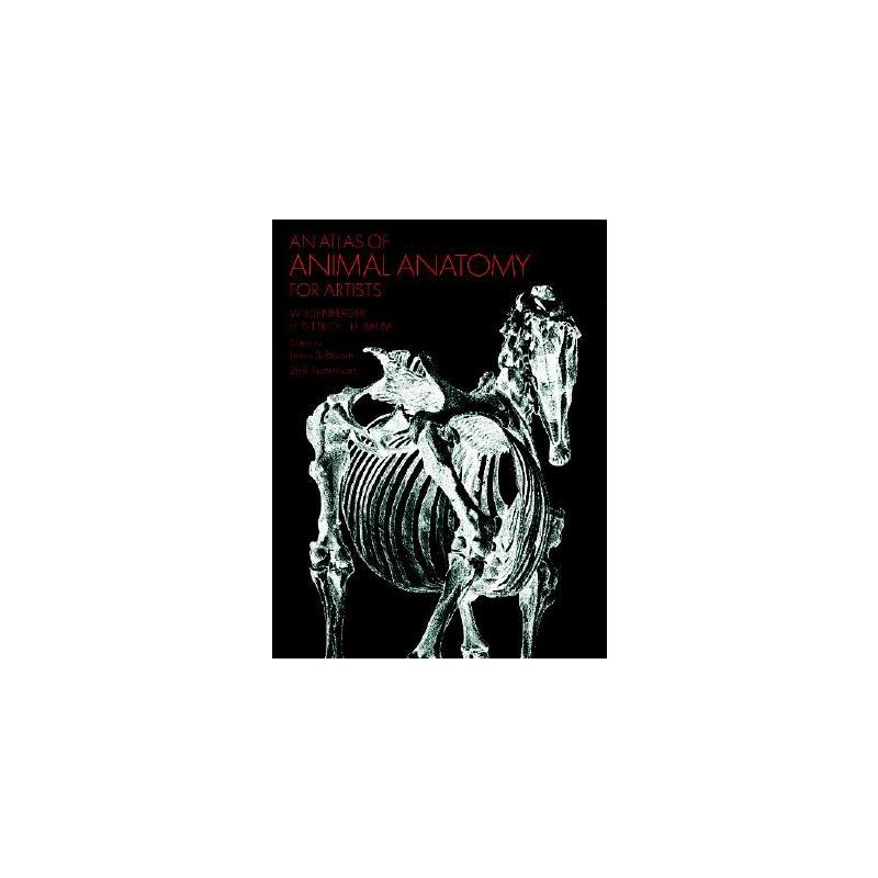 《动物解剖造型艺术图谱》An Atlas of Animal Anatomy for Artists原版引进