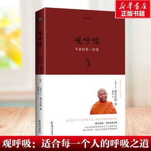观呼吸：适合每一个人的呼吸之道 当代内观大师德宝法师代表作 讲解内观禅修的道理 获得正念的方法 新华书店旗舰店文轩官网