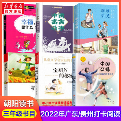 2022朝阳读书三年级稻草人张天翼