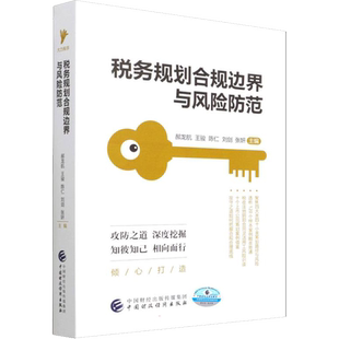 【新华文轩】税务规划合规边界与风险防范 正版书籍 新华书店旗舰店文轩官网 中国财政经济出版社