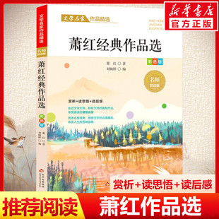 成长书写作课正版 给孩子 儿童文学 作品选散文集精选中小学生三四五六年级课外阅读书籍必课外阅读小学生名家文学读本 萧红经典