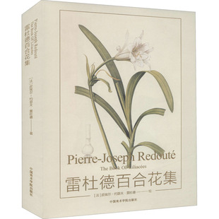 法 皮埃尔·约瑟夫·雷杜德 中国美术学院出版 新华文轩 社 新华书店旗舰店文轩官网 雷杜德百合花集 书籍 正版