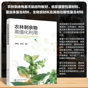 编著 正版 书籍 农林剩余物高值化利用 化学工业出版 宋晓文 新华书店旗舰店文轩官网 社 武建新