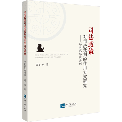 司法政策对司法裁判的作用方式研究——以会议纪要为例 武飞 等 知识产权出版社 正版书籍 新华书店旗舰店文轩官网