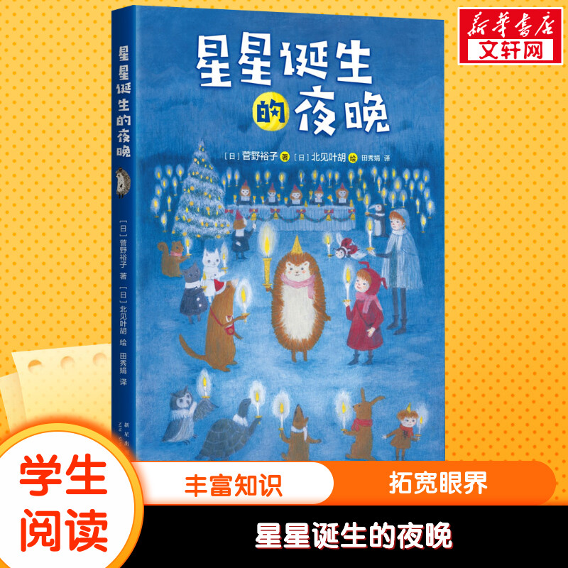 星星诞生的夜晚 (日)菅野裕子 小学生儿童文学绘本书籍6-12周岁一二三四五六年级课外阅读读物正版包邮