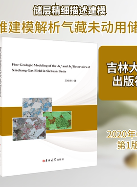 四川盆地新场气田Js21、Js23储层精细描述 王权锋 正版书籍 新华书店旗舰店文轩官网 吉林大学出版社