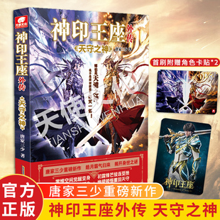 动画热播中 神印王座外传天守之神 神印王座2前传 皓月霸气归来揭开身世之谜 斗罗大陆系列青春文学玄幻武侠小说 唐家三少重磅新作