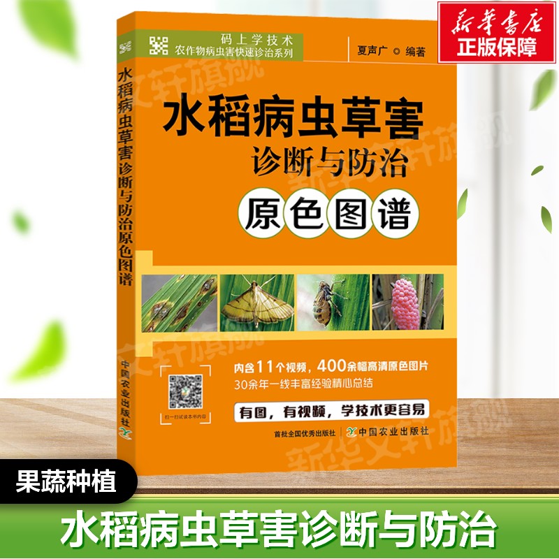 水稻病虫草害诊断与防治原色图谱 水稻栽培种植技术 水稻病虫害防控 稻田农作物病虫害诊治中国农业出版社 正版果蔬栽培种植业