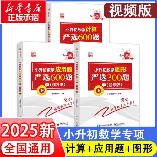 小升初数学图形严选300题 数学计算严选600题 数学应用题严选600题 小学六年级数学专项训练衔接教材数学考试解题方法技巧大全书