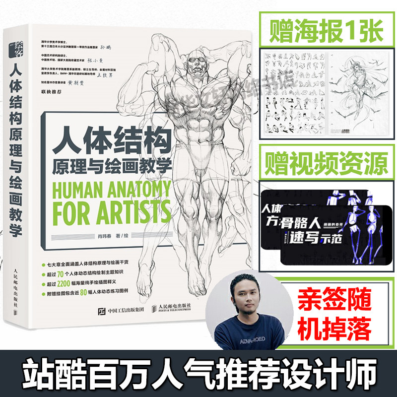 人体结构原理与绘画教学【赠海报+视频+随机亲签】肖玮 画画的春哥 插画人物结构造型绘画零基础入门自学教材临摹画集 设计教程书