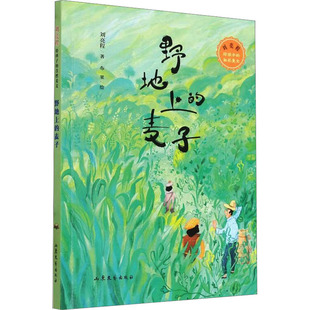 【新华文轩】野地上的麦子 刘亮程 正版书籍 新华书店旗舰店文轩官网 山东文艺出版社