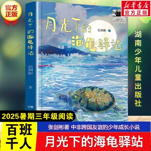 新华文轩】月光下的海龟驿站 张剑彬著暑期百班千人二年级必读课外书阅读中非跨国友谊的少年成长小说儿童文学湖南少年儿童出版社