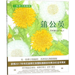 【新华文轩】蒲公英(精装绘本) (日)荒井真纪 著;黄锐 译 正版书籍 新华书店旗舰店文轩官网 新星出版社