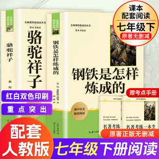 配套人教版骆驼祥子和钢铁是怎样炼成的是怎样海底两万里正版原著非人民教育出版社老舍七年级下必阅读课外书初中生语文完整版红岩