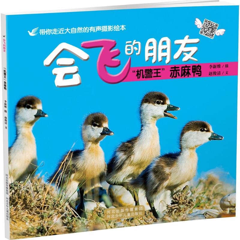 新华书店正版 少儿科普 文轩网