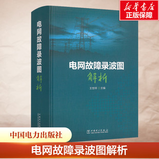 电网故障录波图解析 电网故障分析的工作流程和故障波形图识别基本方法 继电保护现场技术识别故障 王世祥 正版书籍