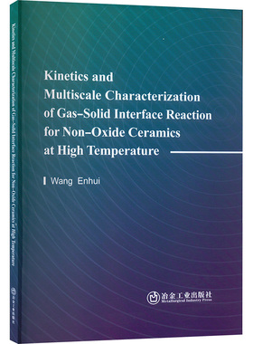 Kinetics andMultiscale Characterization of Gas-Solid Interface Reaction for Non-OxideCeramics at High Temperature
