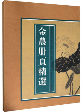 【新华文轩】金农册页精选 正版书籍 新华书店旗舰店文轩官网 浙江人民美术出版社
