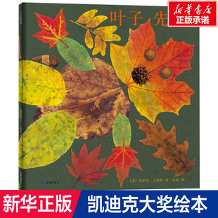 叶子先生 幼儿园小学生课外书 8岁儿童绘本 睡前亲子阅读幼儿园小中大班绘本