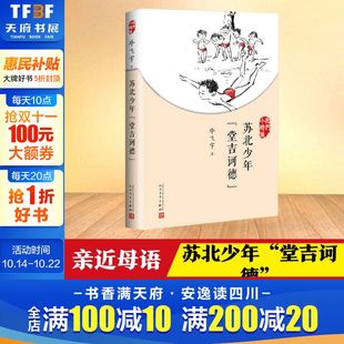 毕飞宇 名家美文人民文学出版 我们小时候系列 适合家长与孩子共读 社 中国文学散文随笔 苏北少年堂吉诃德