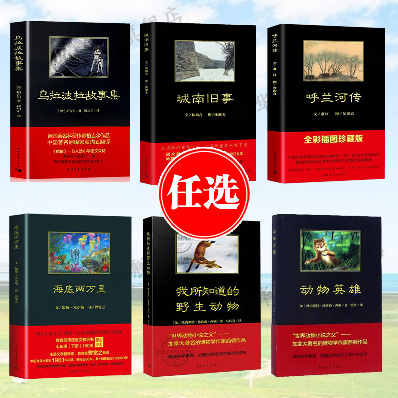 海底两万里乌拉波拉故事集城南旧事呼兰河传我所知道的野生动物 青少年小学生儿童四五六年级课外阅读物故事书快乐读书吧老师推荐