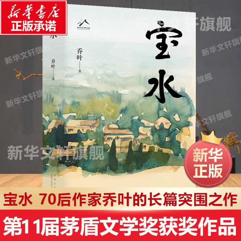 第11届茅盾文学奖作品】 宝水 70后代表作家乔叶的长篇突围之作 莫言格非张莉诚挚推荐 乡土中国新时代文学中国乡村正在发生的巨变怎么看?