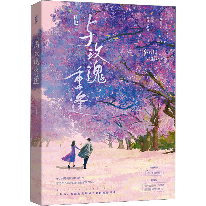 新华书店正版 青春小说 文轩网