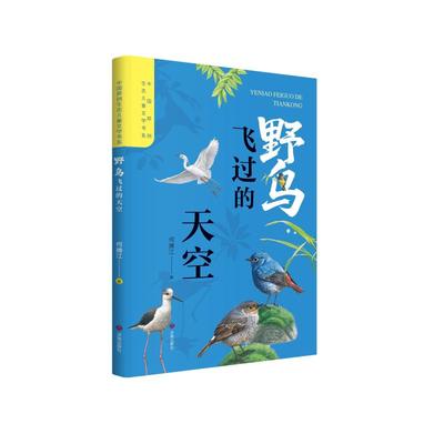 【新华文轩】野鸟飞过的天空 何腾江 著 正版书籍 新华书店旗舰店文轩官网 济南出版社