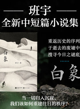 白象 班宇著 正版中短篇小说集 收录飞鸟与地下狐及其友关河令清水心跳 冬泳逍遥游作者作品 现当代文学散文随笔 新华书店旗舰店