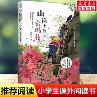 山岗上的索玛花 徐继东中国儿童文学童话故事图书小学三四五六年级必读课外阅读书籍成长励志儿童读物校园小说湖南少年儿童出版社