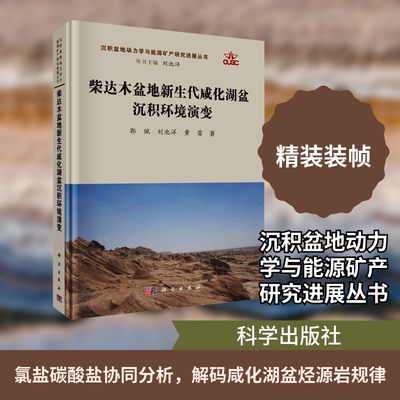 柴达木盆地新生代咸化湖盆沉积环境演变 郭佩,刘池洋,黄雷 著 正版书籍 新华书店旗舰店文轩官网 科学出版社