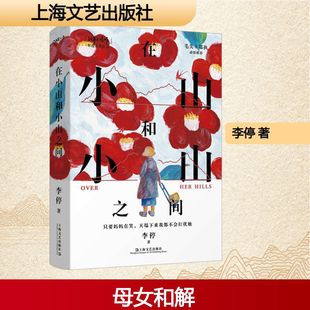现货速发 在小山和小山之间 李停著 妈妈能给的爱就是一次又一次得体地退出我的生命 毛尖/郑执动情推 荐现当代文学散文随笔畅销书