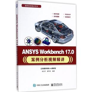 电子工业出版 Workbench17.0案例分析视频精讲 编著 郝利剑 张云杰 ANSYS 正版 社 新华文轩 新华书店旗舰店文轩官网 书籍