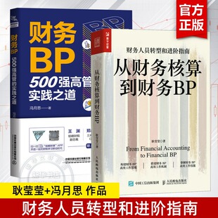财务BP2册 高效构建财务BP 财务BP 从财务核算到财务BP财务人员转型和进阶之道 企业管理进阶 500强高管实践之道