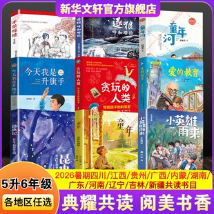 四川典耀共读暑假五升六年级必读课外书阅美黔贵草原书湘中华八桂粤韵江西童年小英雄雨来爱的教育贪玩的人类昆虫记今天我是升旗手