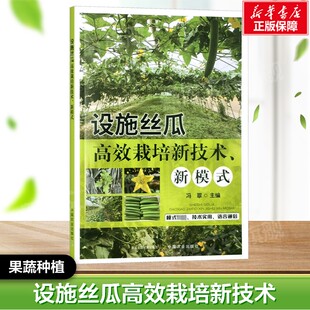 设施丝瓜高效栽培新技术、新模式 正版书籍  中国农业出版社 果蔬栽培种植业系列书 蔬菜瓜果栽种参考工具书应用指南书籍