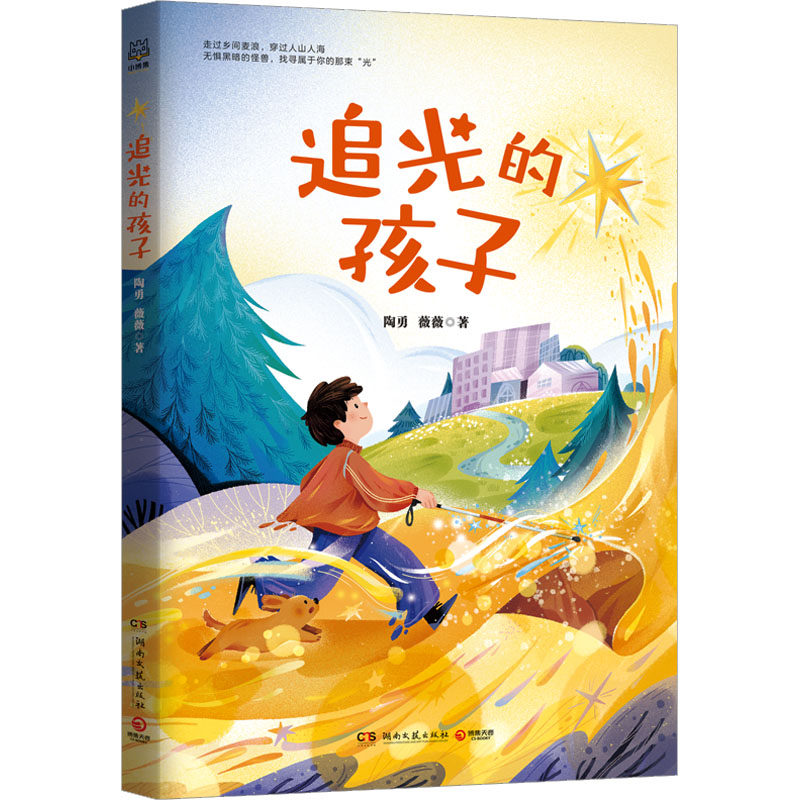 追光的孩子 陶勇,薇薇 正版书籍 新华书店旗舰店文轩官网 湖南文艺出版社高性价比高么？