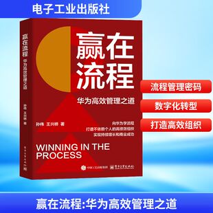 赢在流程 华为高效管理之道 孙伟 王兴桥 破解华为流程管理密码 向华为学流程 打造高绩效组织 流程与数字化管理体系建设