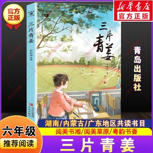 社老师正版 必课外阅读共读文学书目青岛出版 湖南阅美书湘广东粤韵书香内蒙古草原小学生六年级下册推荐 三片青姜常新港著2026春季
