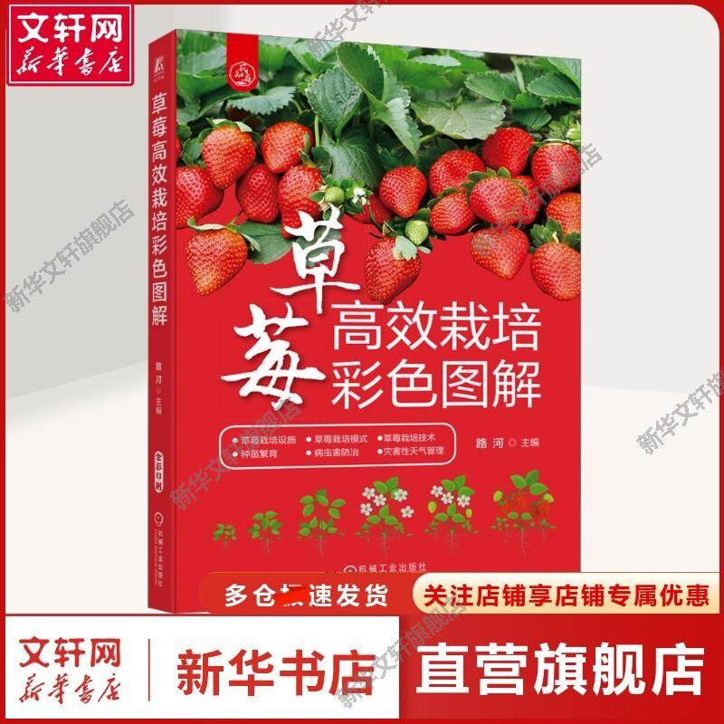 草莓高效栽培彩色图解 路河 编 种植业种植业 机械工业出版社正版书籍
