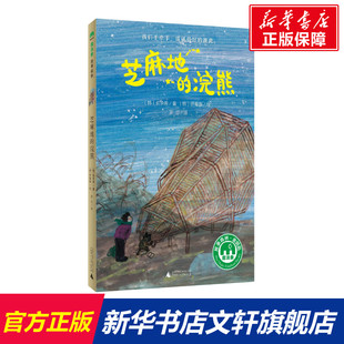 正版 社 芝麻地 广西师范大学出版 新华书店旗舰店文轩官网 书籍 俞承希 韩 浣熊 新华文轩