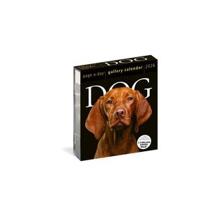 GALLERY 新华文轩 PAGE 正版 新华书店旗舰店文轩官网 Calendars DAY DOG 2026 CALENDAR 书籍 Workman