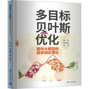 社 袁源 新華書店旗艦店文軒官網(wǎng) 王洪燕 徐華 面向大模型 清華大學出版 超參調(diào)優(yōu)理論 正版 新華文軒 多目標貝葉斯優(yōu)化 書籍