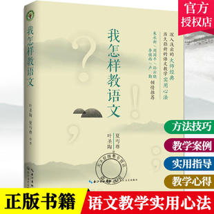 叶圣陶夏丐尊 中小学教师语文教学读本经典 长江文艺出版 我怎样教语文 教育理论教师教学用书 实用心法指导阅读方法 社 案例大师经典