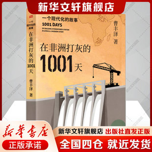 【新华文轩】在非洲打灰的1001天：一个现代化的故事 曹丰泽 东方出版社 正版书籍 新华书店旗舰店文轩官网 文学书籍